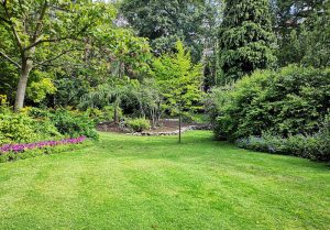 Optimiser l'expérience du jardin à Treves